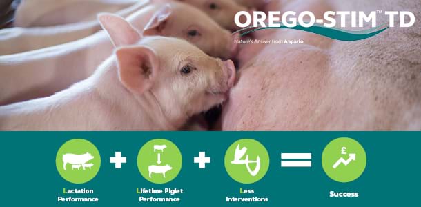 Technical Tip: Orego-Stim TD Supports the 3L's Formula to Boost Pig Unit Success